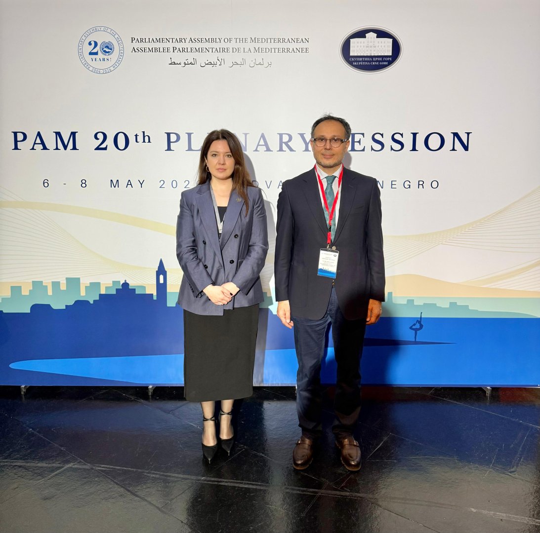 TURKPA Secretary General participates in Parliamentary Assembly of Mediterranean session (PHOTO)