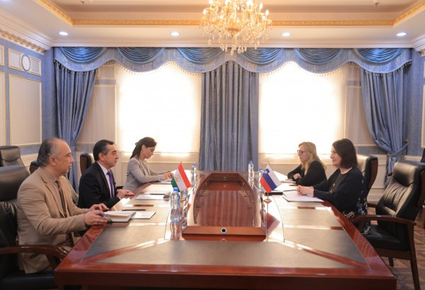 Tajikistan, Slovenia chart path for stronger bilateral relations