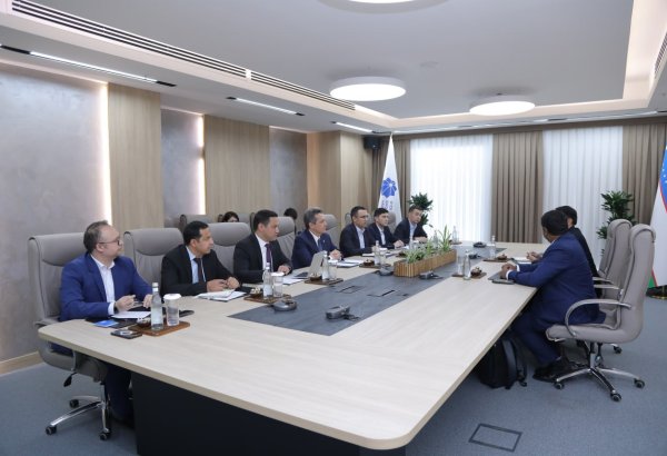 Uzbekistan, Meta discuss cooperation prospects in digital economy