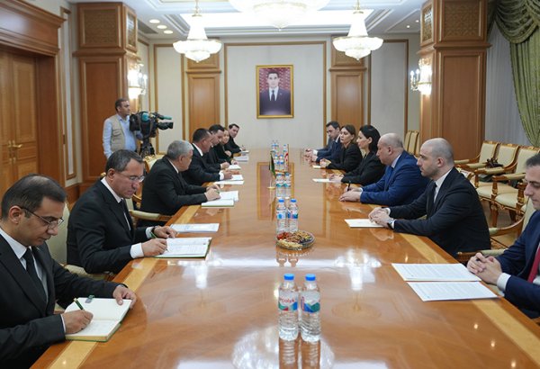 Georgia, Turkmenistan discuss logistics, trade and digital transport cooperation