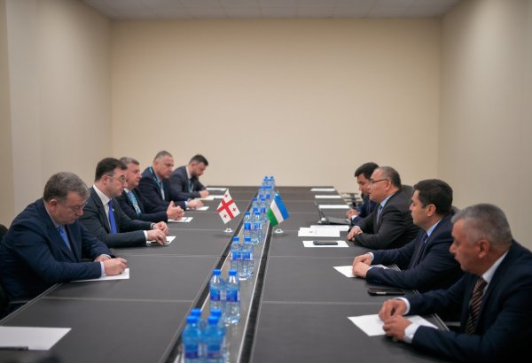 Georgia, Uzbekistan explore new frontiers in agro-industrial cooperation
