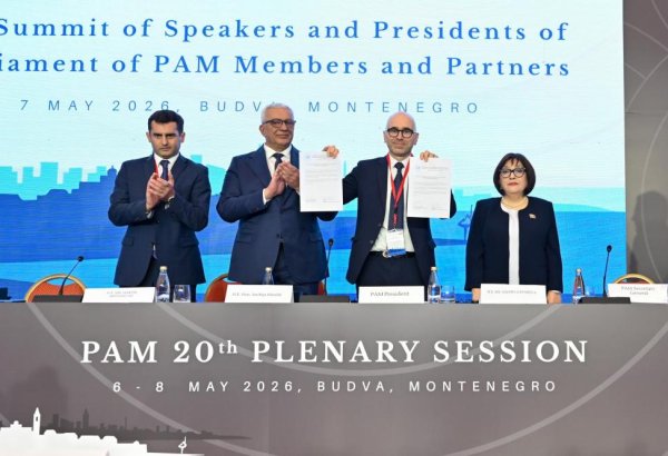 Azerbaijani Parliament gains observer status at PAM (PHOTO)