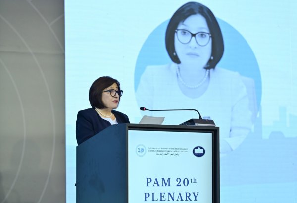 Azerbaijan contributes to regional and international energy security - parliament speaker