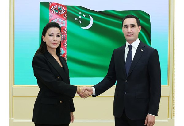 President of Turkmenistan meets Georgian Minister of Economy