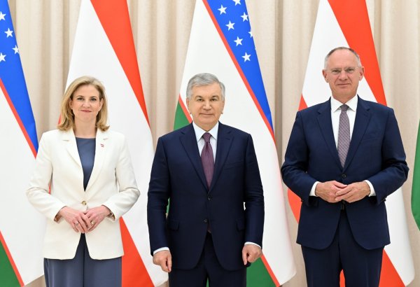 Uzbekistan, Austria discuss expansion of practical cooperation
