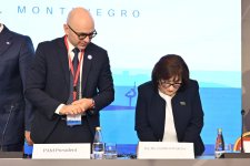 Azerbaijani Parliament gains observer status at PAM (PHOTO)