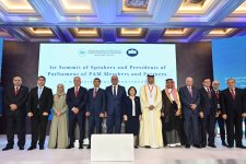 Azerbaijani Parliament gains observer status at PAM (PHOTO)