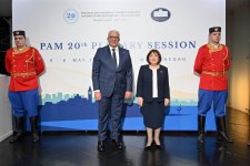 Azerbaijan contributes to regional and international energy security - parliament speaker