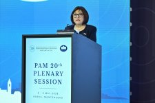 Azerbaijan contributes to regional and international energy security - parliament speaker