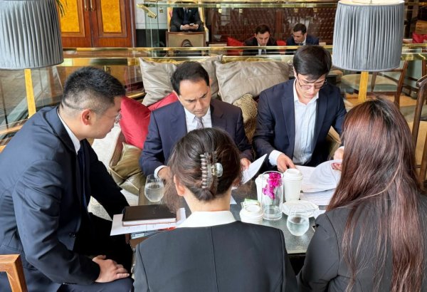 Uzbekistan, China's firm discuss electric mobility, smart energy projects