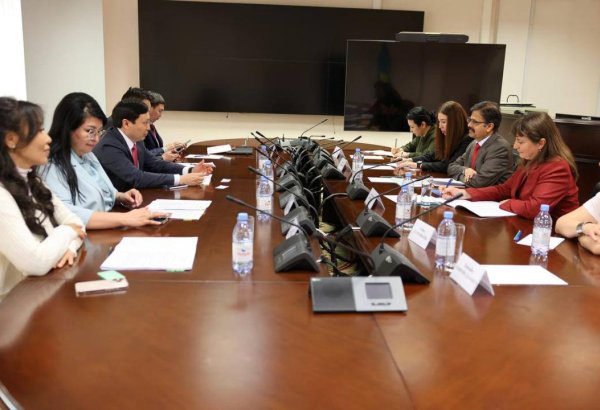 Kazakhstan, UN discuss cooperation on sustainable development goals