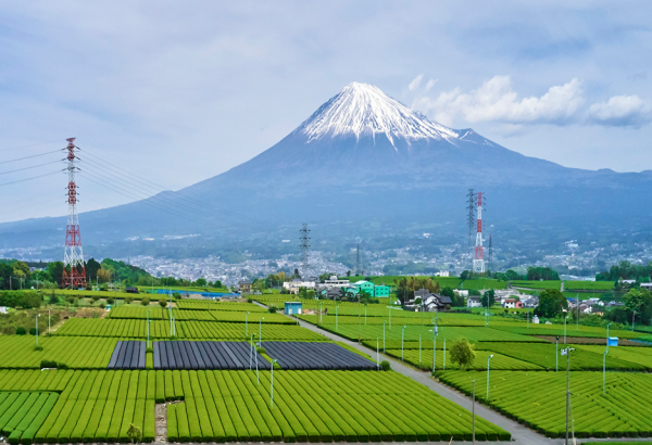 Turkmenistan eyes deepening agricultural cooperation with Japan