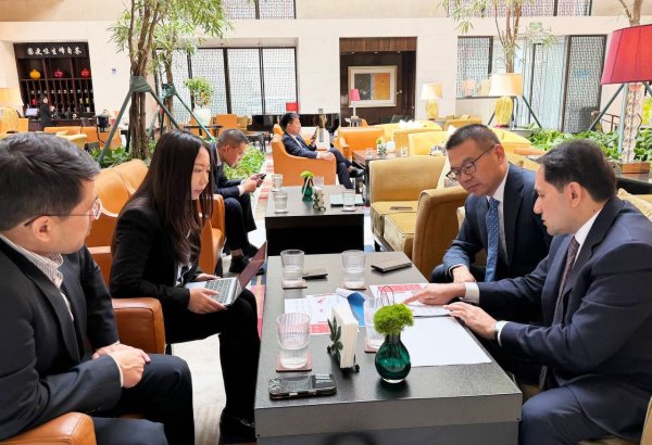 Uzbekistan discusses copper foil production project with China’s Taijin New Energy