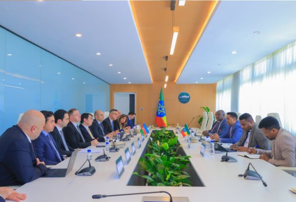 Azerbaijan and Ethiopia discuss development of economic and trade relations