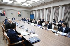 Azerbaijan’s Economic Council discusses development of tourism sector (PHOTO)