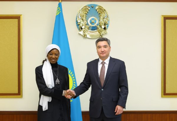 Kazakhstan, UNFPA discuss cooperation on population health and social policy