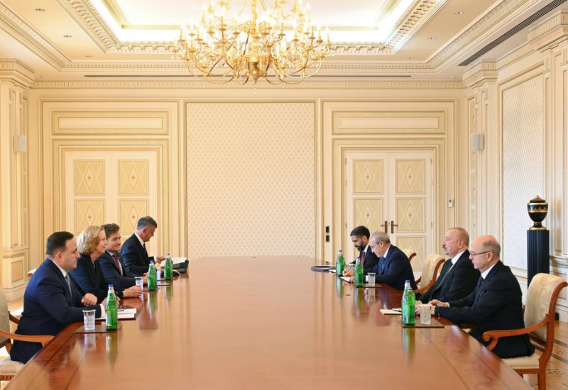 President Ilham Aliyev receives CEO of bp Meg O'Neill (PHOTO)