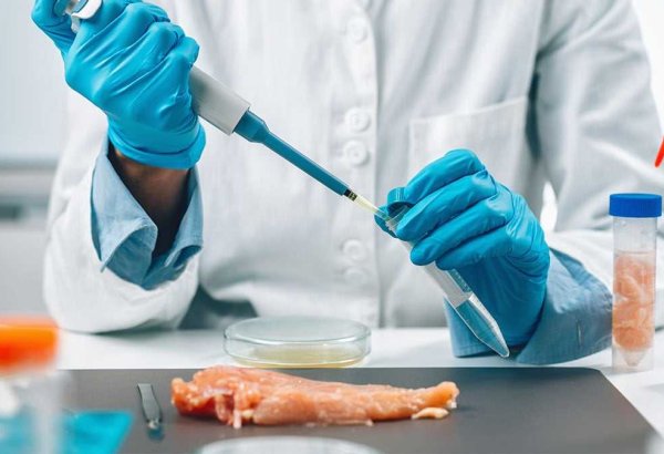 Uzbekistan to transfer key veterinary and food safety functions to private sector from 2027