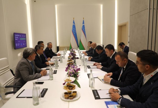 Uzbekistan, Türkiye's Artibir Group agree on gas-piston unit installations in Tashkent