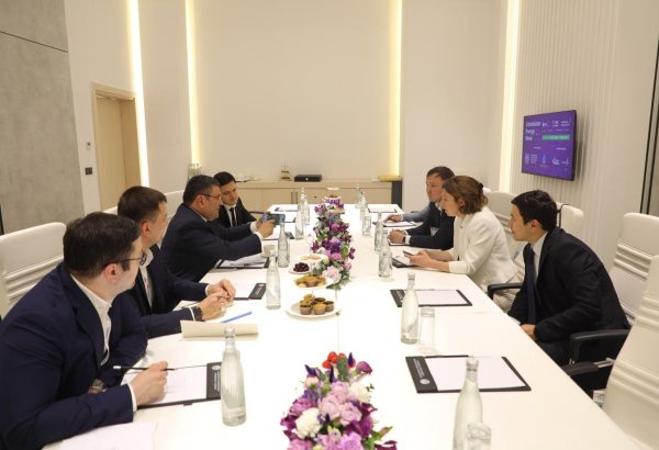 Uzbekistan and French Voltalia discuss progress on major renewables projects