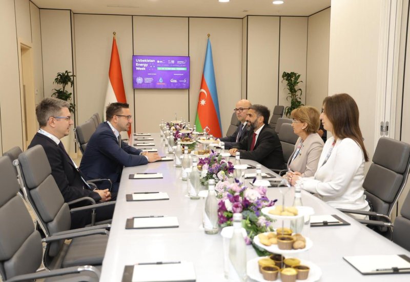 Azerbaijan's SOCAR and Hungary's MOL Group discuss joint upstream projects