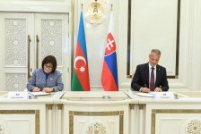 Azerbaijan, Slovakia strengthen ties with inter-parliamentary MoU (PHOTO)