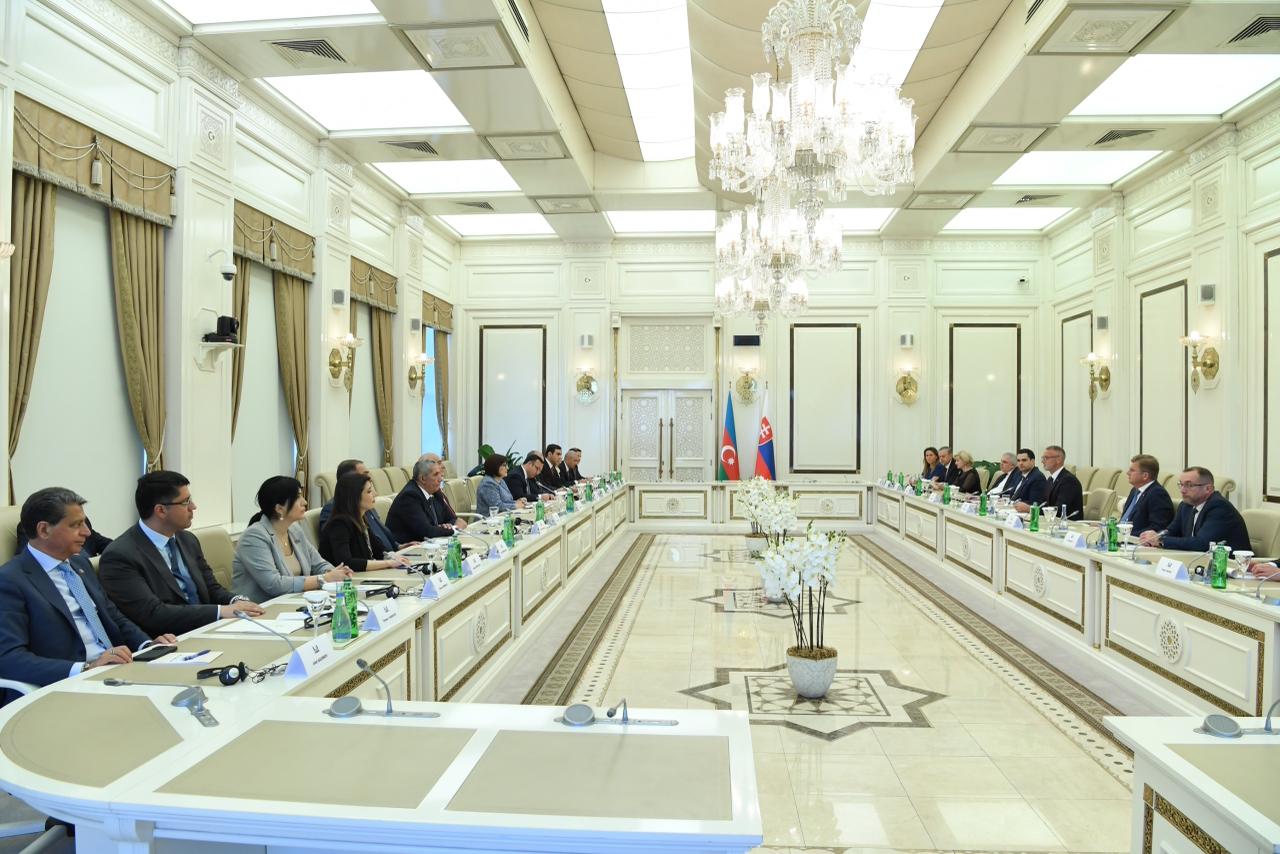 Azerbaijan, Slovakia strengthen ties with inter-parliamentary MoU (PHOTO)