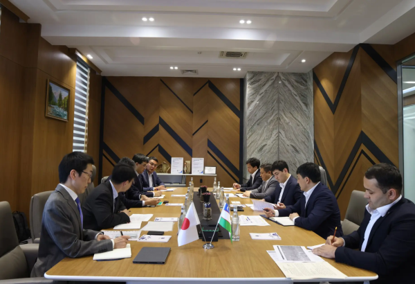 Uzbekistan, Japanese firms discuss accelerating geological exploration projects
