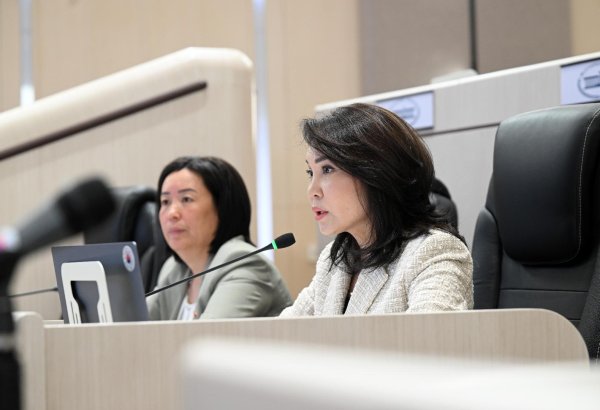 Kyrgyzstan ratifies Turkic States digital economy partnership agreement
