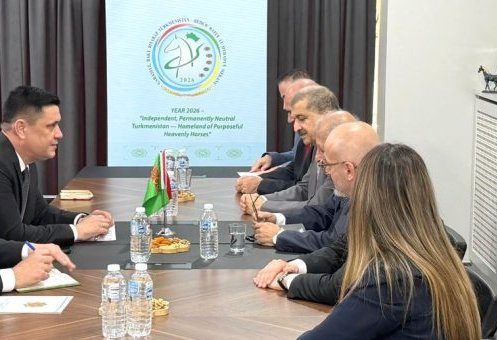 Turkmenistan and Türkiye discuss expanding business cooperation