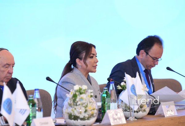 Global South NGO Platform in Baku becomes int'l hub of solidarity - official