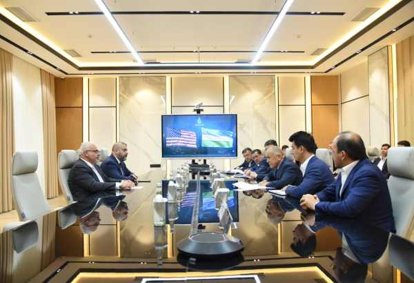 Uzbekneftegaz, U.S.-based Upwing Energy discuss pilot projects to boost well productivity