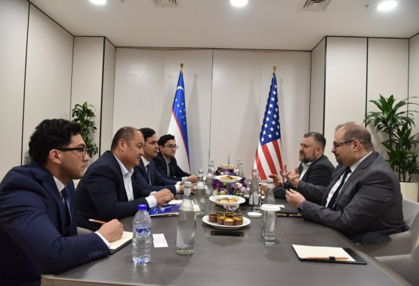 Uzbekneftegaz, Fitch Ratings debate issuance of Islamic securities