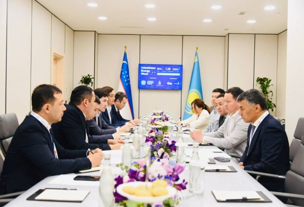 Kazakhstan, Uzbekistan step up joint oil and gas initiatives
