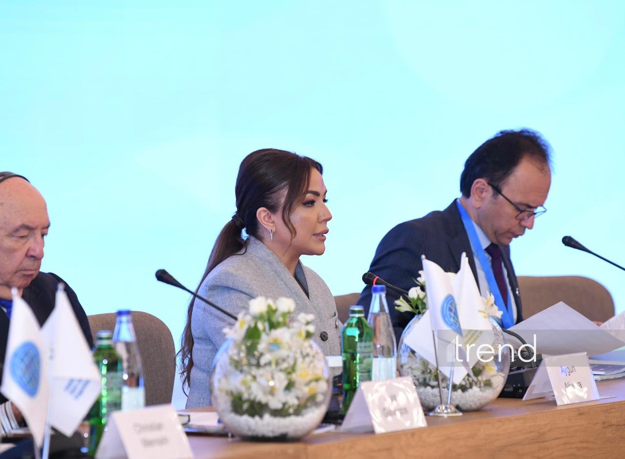 Global South NGO Platform in Baku becomes int'l hub of solidarity - official