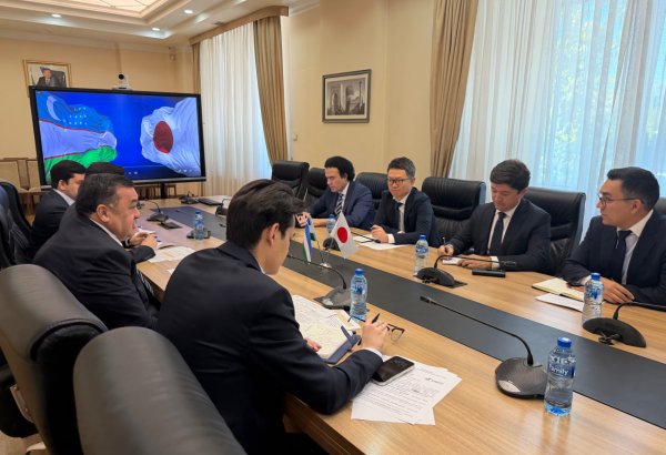 Uzbekistan, Japan's Sojitz discuss implementation of major infrastructure, energy projects