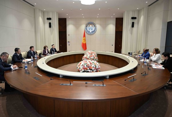 Kyrgyzstan, UN review current partnership initiatives