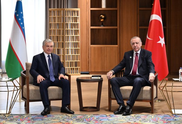 Uzbek, Turkish presidents discuss strategic partnership on sidelines of OTS summit