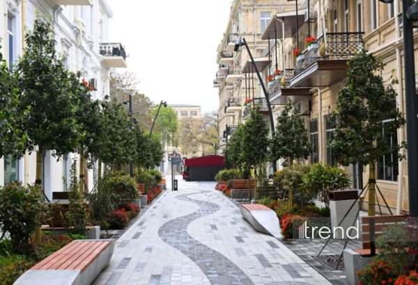 Azerbaijan's Baku blossoms with flowers ahead of WUF13 conference (PHOTO)