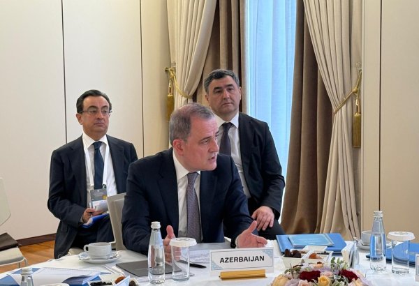 Hybrid threats require closer coordination among Turkic states - Azerbaijani FM (PHOTO)