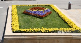 Baku blossoms with flowers ahead of WUF13 conference (PHOTO)