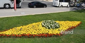 Baku blossoms with flowers ahead of WUF13 conference (PHOTO)