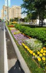Baku blossoms with flowers ahead of WUF13 conference (PHOTO)