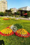 Baku blossoms with flowers ahead of WUF13 conference (PHOTO)