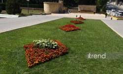 Baku blossoms with flowers ahead of WUF13 conference (PHOTO)