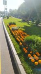 Baku blossoms with flowers ahead of WUF13 conference (PHOTO)