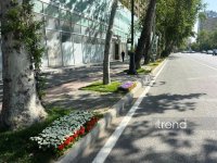 Baku blossoms with flowers ahead of WUF13 conference (PHOTO)