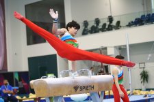AGF Trophy international artistic gymnastics tournament kicks off in Baku (PHOTO)