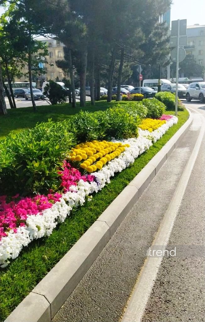 Baku blossoms with flowers ahead of WUF13 conference (PHOTO)