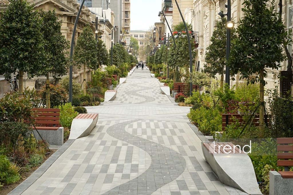 Baku blossoms with flowers ahead of WUF13 conference (PHOTO)